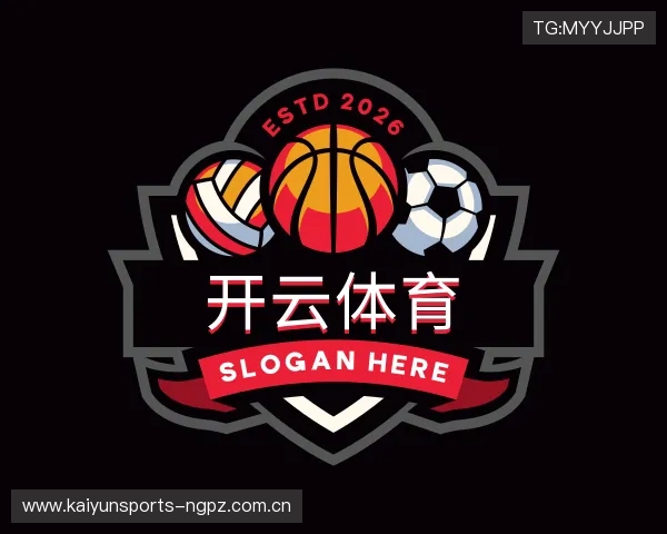 概况开云在线